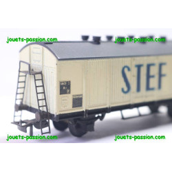 Smcf 103-Stef