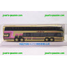 RM Rietze Auto Modelle 60061