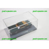 Neo Scale Models voiture